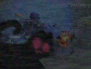 evidence photo